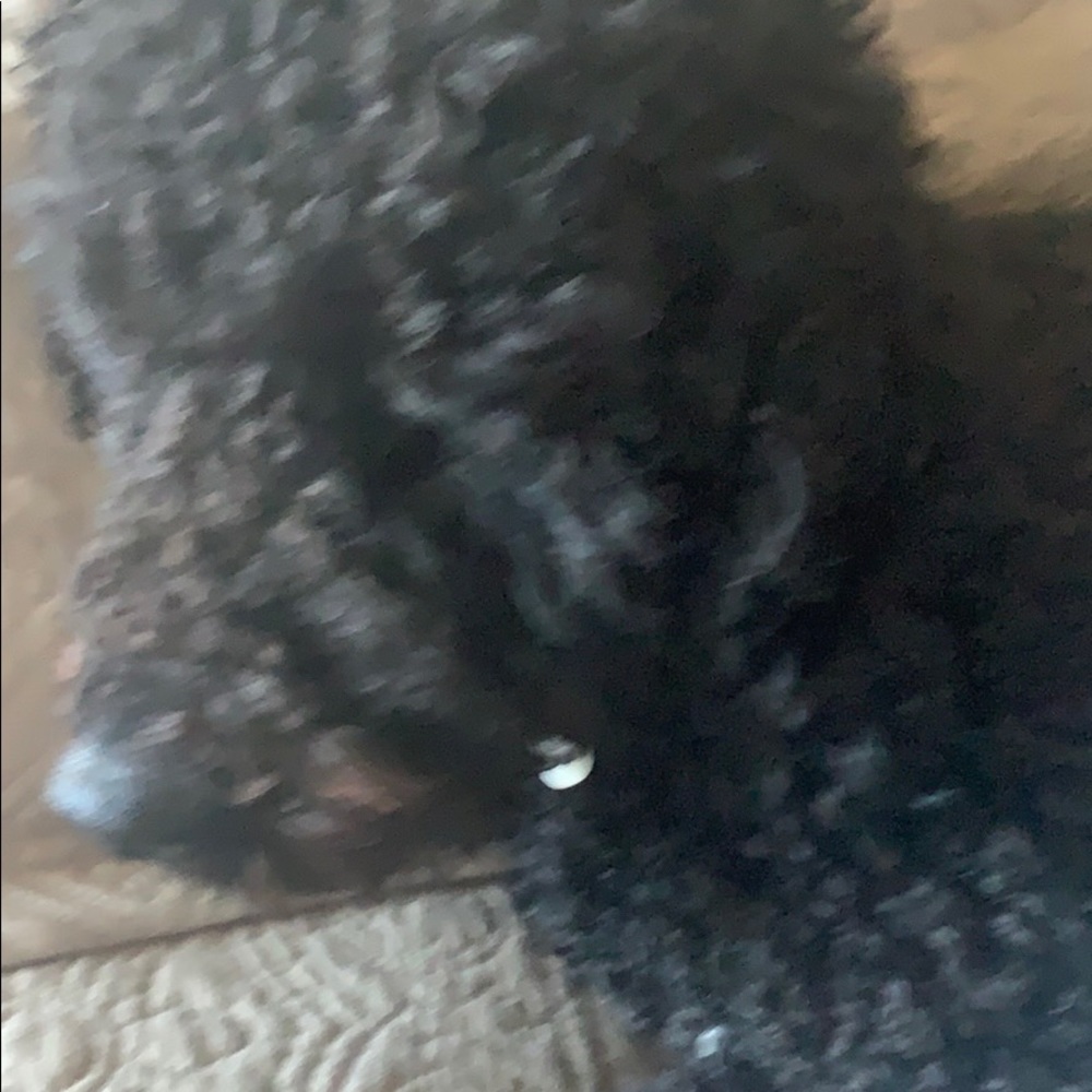 Meet your Posher, Cathleen